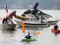 636411856442528067-Salmon-protest-4.jpg