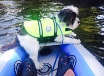 Baxter_in_PFD.jpg
