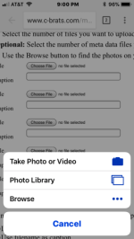 5434D9D0_C493_47FF_BF92_FBB09CDBC878.sized.png