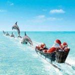 SantaDolphins.jpg