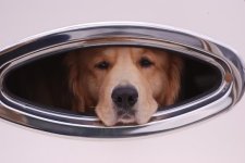 dawson_porthole.jpg