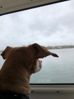 IMG_0307.sized.jpg