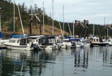 IMG_1643.sized.jpg