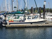 IMG_0749.jpg