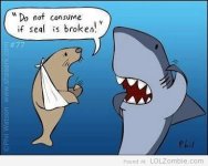 seal.jpg