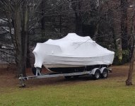 winter_2018.sized.jpg