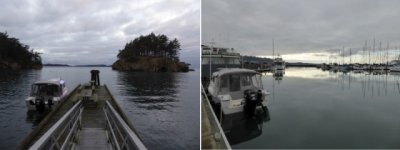 Matia_and_Bellingham_Xmas_2018.sized.jpg