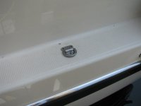 IMG_0555.sized.jpg