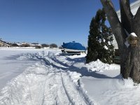 IMG_3968.jpg