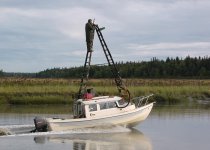 Moose_Hunt_Dory.jpg