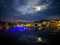 FridayHarbor2019.jpg