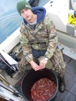 Bucket_O_Shrimp_sized.jpg