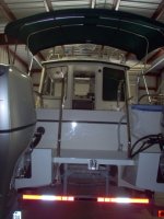 TomCat_3_06_009.sized.jpg