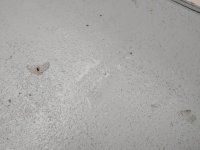 20191007_175927.sized.jpg