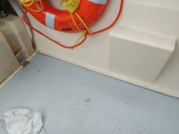 20191007_175937.sized.jpg
