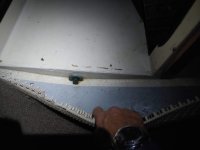 20191007_220051.sized.jpg