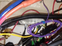 20191010_144856.sized.jpg