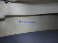 20191011_205101.sized.jpg