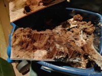20191127_175754_HDR.sized.jpg