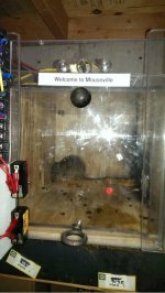 IMG_5426.jpg