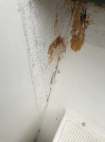 StarboardGunnelAftCabinBulkheadzoom.jpg