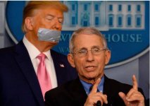 Fauci.jpg