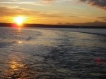 January_2010_821.thumb.jpg