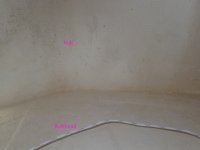 compartment_inside_center.sized.jpg