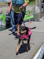 lola_boat_ride_2.sized.jpg