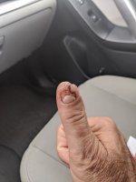 _125404.thumb.jpg.34dc846c751c4c7444d31a658fe9816d.jpg