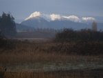 January_2010_828.thumb.jpg