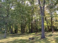 IMG_0364.sized.jpg