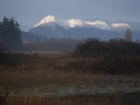 January_2010_828.sized.jpg