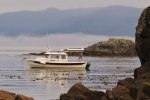 0_God_s_Pocket_Anchorage.thumb.jpg 0_God_s_Pocket_Anchorage.thumb.jpg