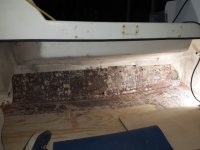 20210108_205532.sized.jpg