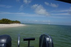 DSC04298.jpg DSC04298.jpg