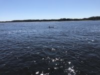 IMG_2186.jpg
