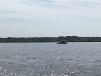 295MollyBrown.jpg