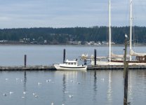 IMG_3987.sized.jpg