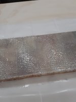 20210417_081904.sized.jpg
