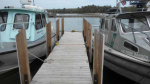 NPS_dock_VertRubRails.thumb.png