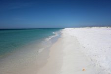 DSC04406.jpg