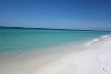 DSC04414.jpg