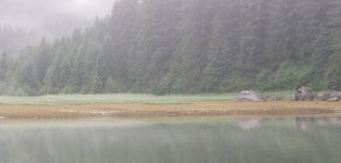 Fords_Terror_Low_Tide.sized.jpg