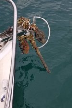 Old_Anchor2.sized.jpg