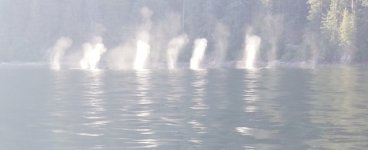 Whale_spouts_Tenakee_Inlet.sized.jpg