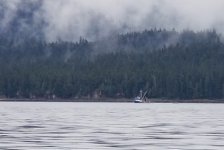 Seiner_east_side_of_Chatham_Strait.sized.jpg