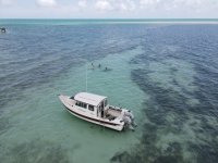 DJI_0133.sized.jpg