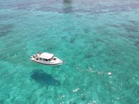 DJI_0151.sized.jpg