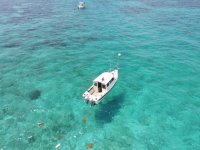 DJI_0158.sized.jpg